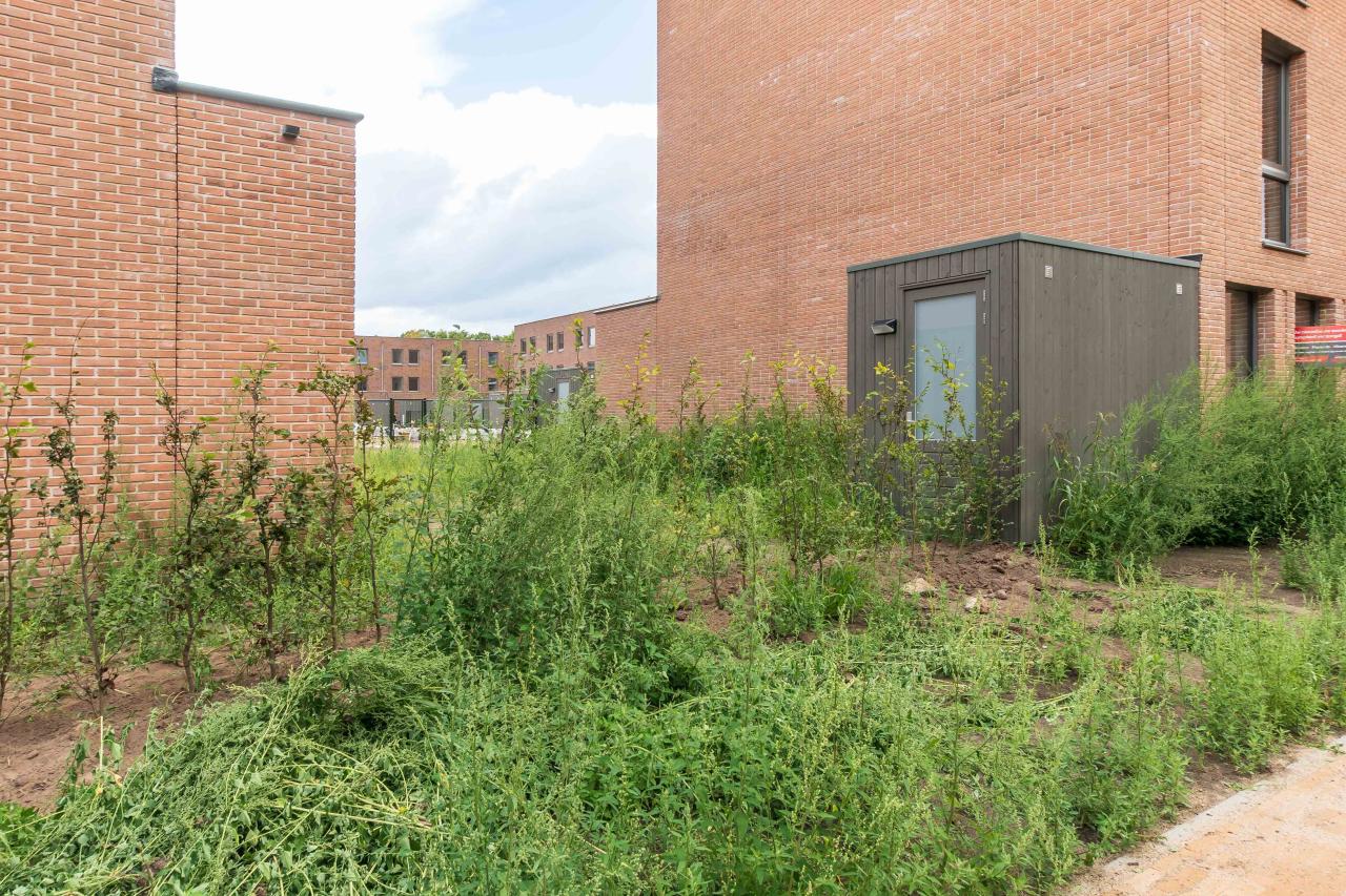 Willemskwartier fase 2b 2-onder-1-kapwoningen 27 0ong TILBURG