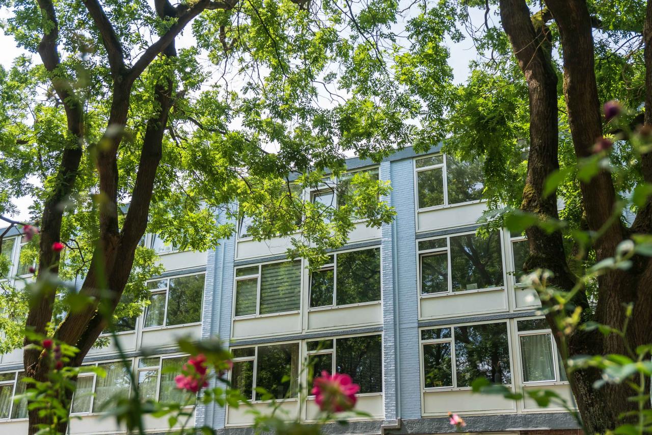 Trouwlaan 291 TILBURG