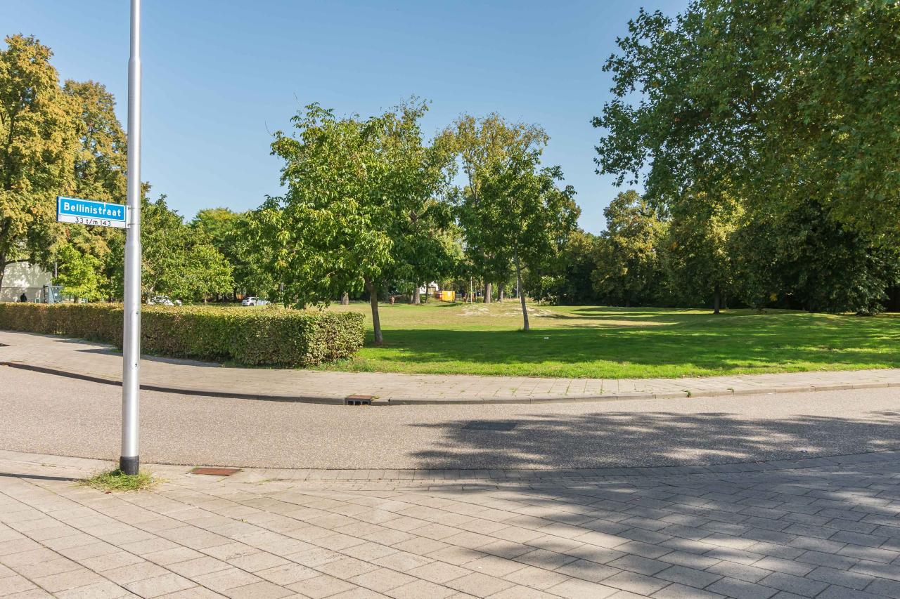 Bellinistraat 135 TILBURG